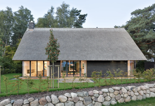 Article title pciture.